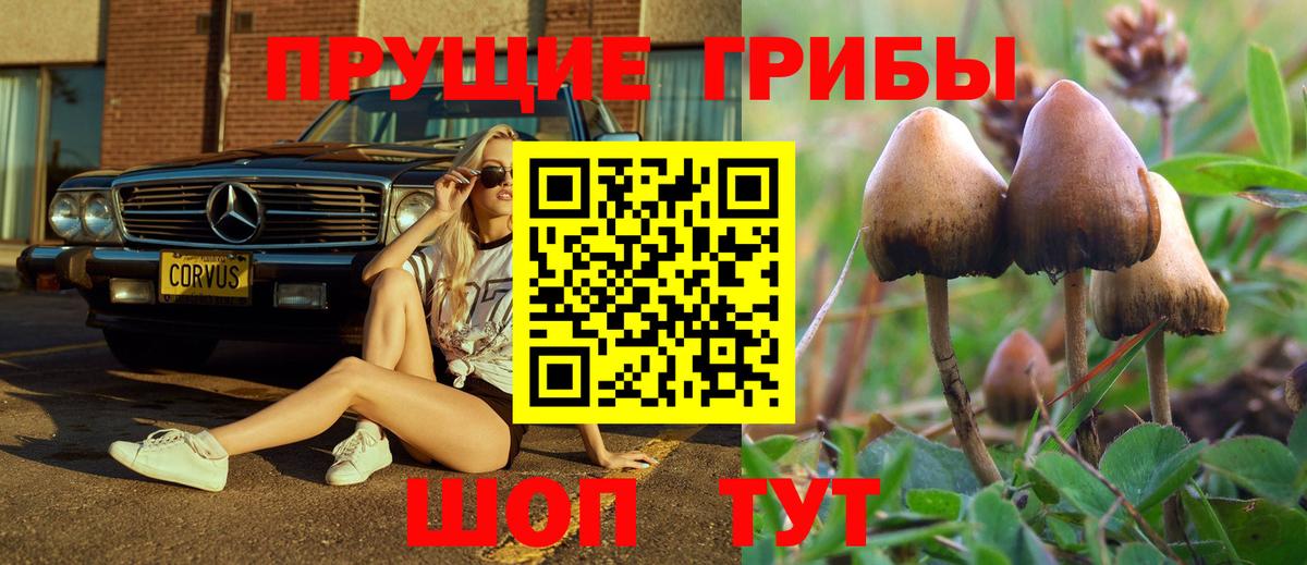 Галлюциногенные грибы прущие грибы Донецк